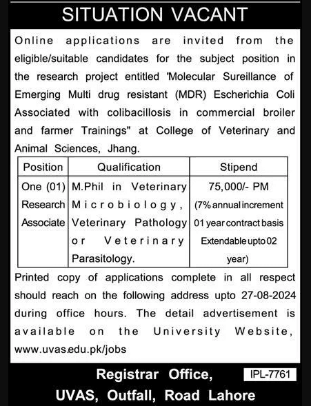 Veterinary Jobs 2024