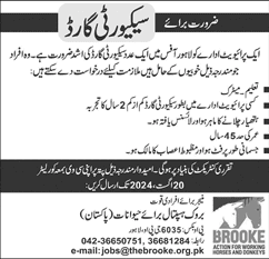 Vatiary Jobs Lahore