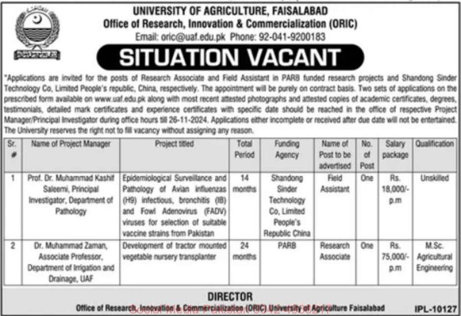 17 Nov 2024 Jobs Newspaper Advertisements