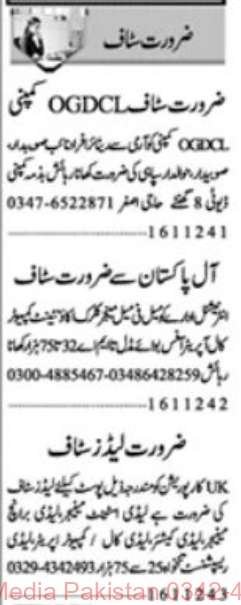 17 Nov 2024 Jobs Newspaper Advertisements