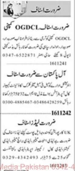 17 Nov 2024 Jobs Newspaper Advertisements