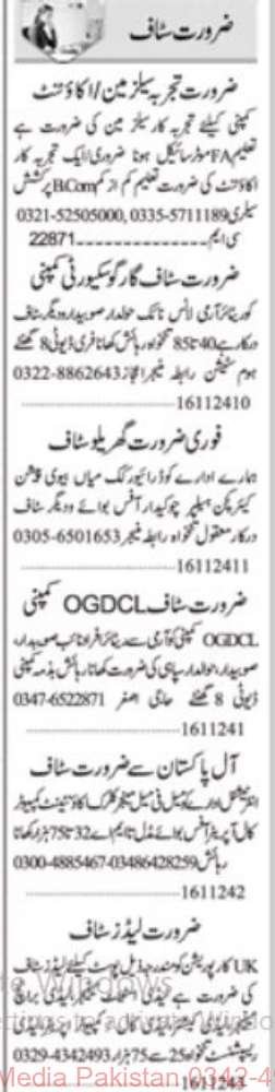 17 Nov 2024 Jobs Newspaper Advertisements