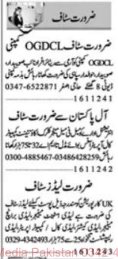 17 Nov 2024 Jobs Newspaper Advertisements