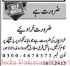 17 Nov 2024 Jobs Newspaper Advertisements
