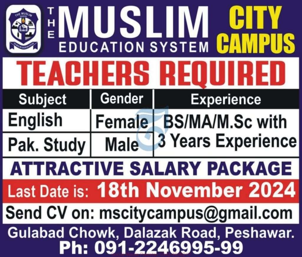 17 Nov 2024 Jobs Newspaper Advertisements