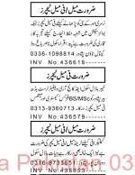 17 Nov 2024 Jobs Newspaper Advertisements