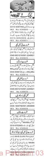 17 Nov 2024 Jobs Newspaper Advertisements