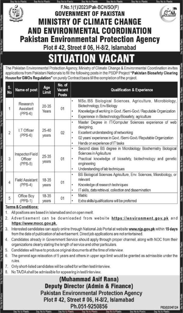 17 Nov 2024 Jobs Newspaper Advertisements
