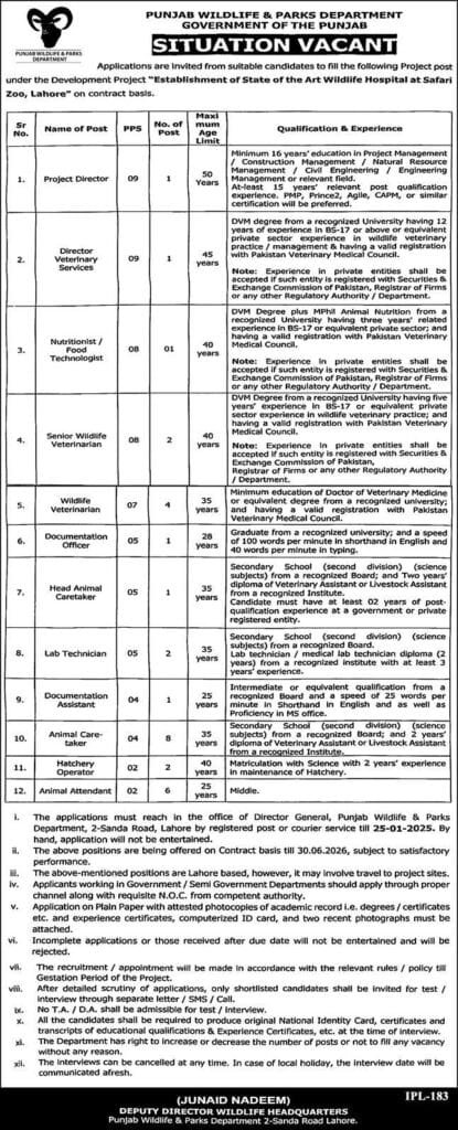 New Latest Jobs in Punjab Govt 2025