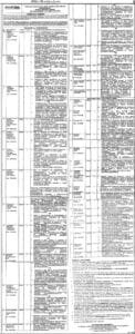 Government of the Punjab Jobs 2025