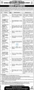 Pak Govt Jobs