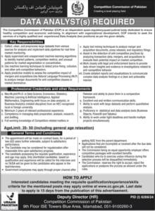 Data Analyst Jobs 2025