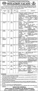 Government of the Punjab Jobs 2025