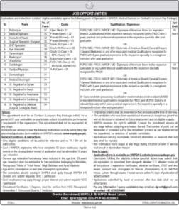 Jobs in Wapda 2025
