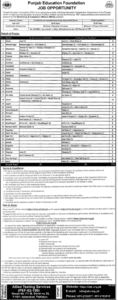 Punjab Education Department Jobs