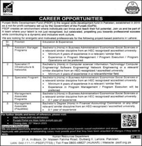 SDF Punjab Govt Jobs 2025